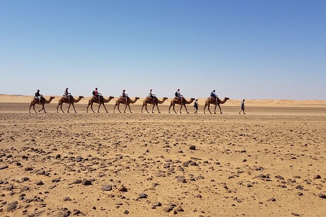 Marrakech Agfay Desert Camel Ride and Dinner Show - Timing and Pickup Reality Check (That One Bad Review Teaches)