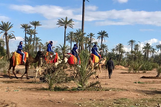 Marrakech Airport Transfers - Mobile Ticket and Simple Confirmation: Less Paper, More Moving