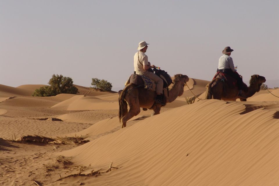 Marrakech: Ait Benhaddou and Ouarzazate Day Trip - Key things to know before you go
