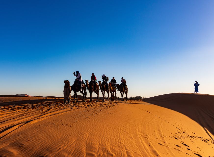 Marrakech: Ait Benhaddou and Ouarzazate Day Trip - Price and logistics: is $37 good value?