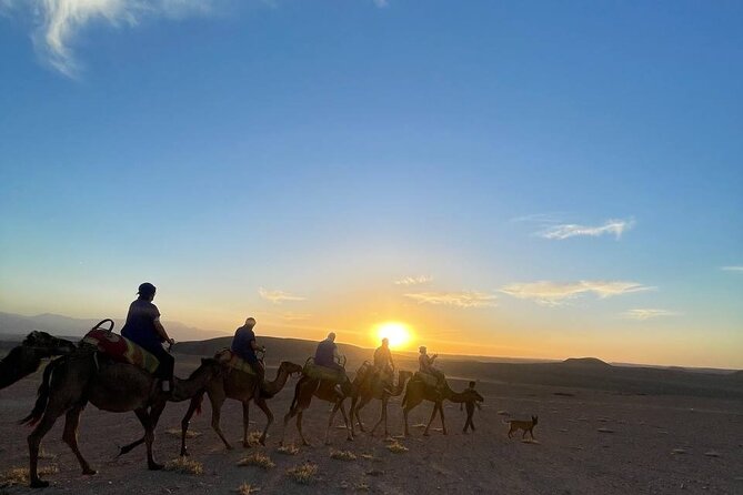 Marrakech Amazing Dinner Show in Agafay Desert, Sunset Camel Ride - Getting to the camp: Marrakech pickup, comfortable minibus, zero stress