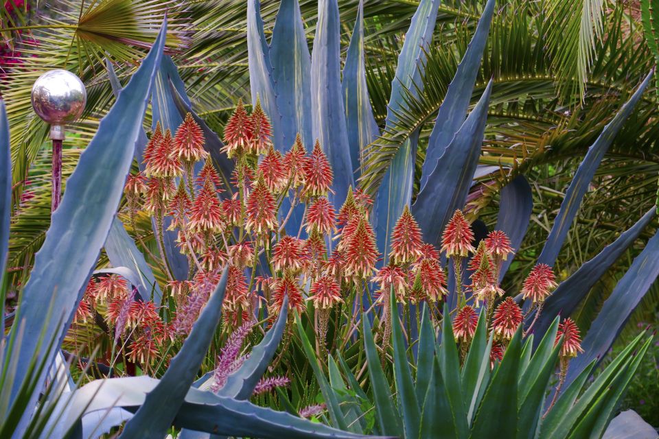 Marrakech: André Heller's ANIMA Garden Ticket - Who should book this ANIMA Garden ticket (and who might skip it)