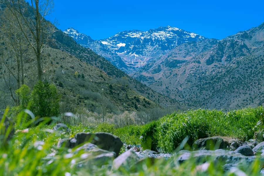 Marrakech: Atlas Adventure, Hike, Camel Ride &desert & lunch - Lunch in a local home (the kind you remember later)