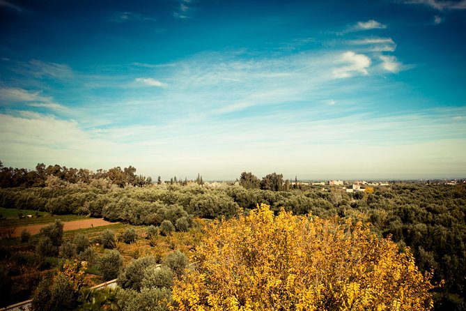 Marrakech Atlas day trip - Setti Fatma and waterfall walking: what the trek feels like