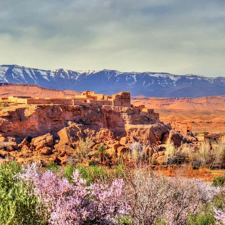 Marrakech: Atlas Mountain, 3 Berber valleys, & Agafay desert - Lalla Takerkoust: Lake Views and Your First Camel Ride