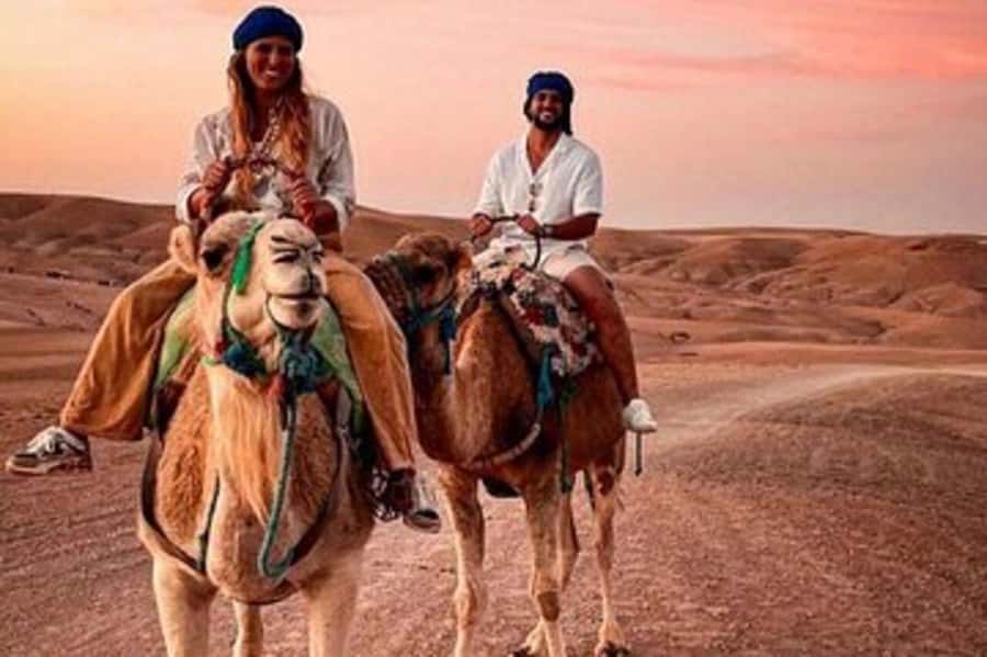 Marrakech: Atlas Mountain, Berber Villages, & Valleys Tour - Who this tour suits best