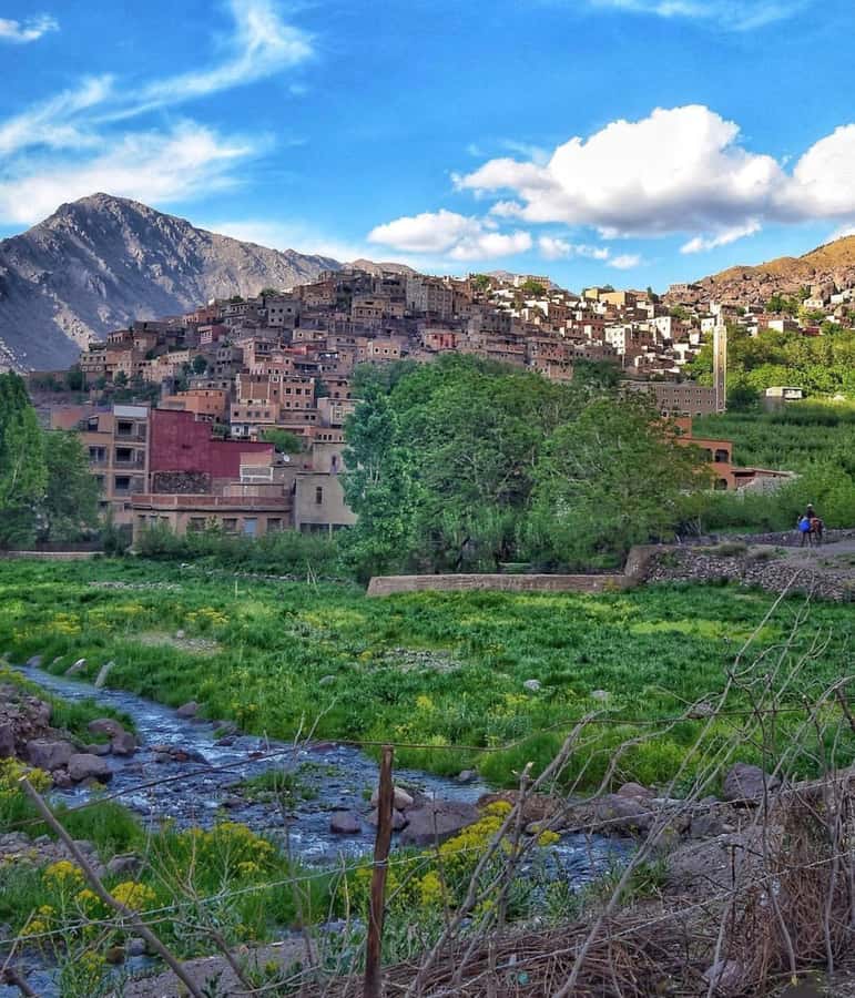 Marrakech: Atlas Mountain, Berber Villages, & Valleys Tour - From Jemaa el-Fna meeting point to Toubkal National Park roads