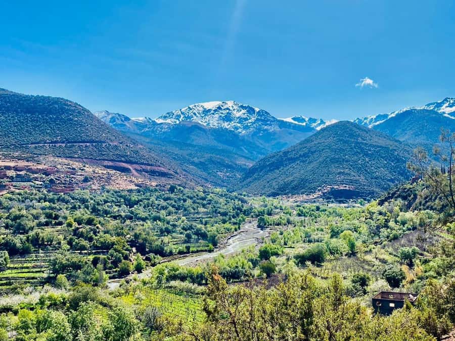 Marrakech: Atlas Mountain, Berber Villages, & Valleys Tour - Agafay Desert views and why the camel ride is worth it