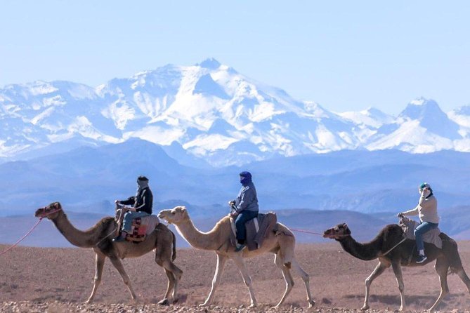 Marrakech: Atlas Mountains & 3 Valleys with waterfall Tour - From your riad in Marrakech to the High Atlas foothills