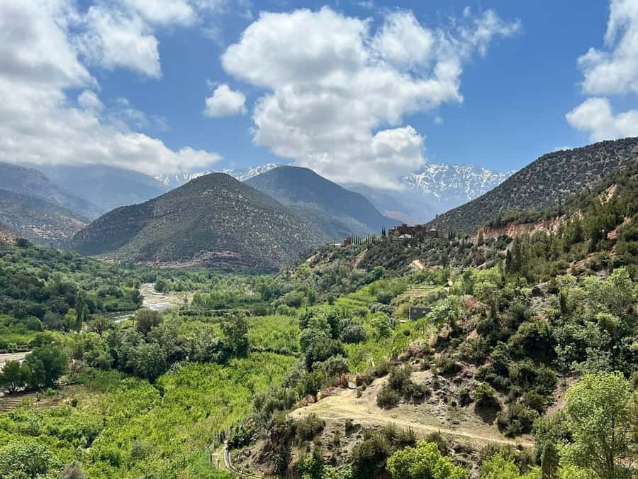 Marrakech: Atlas Mountains, Agafay Desert, Waterfall & Lunch - Leaving Marrakech at 9:00: the smooth start that matters