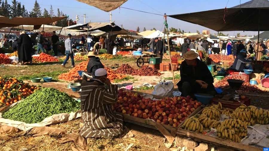 Marrakech: Atlas Mountains, Agafay Desert, Waterfall & Lunch - Price and value: what $28 buys you in real terms
