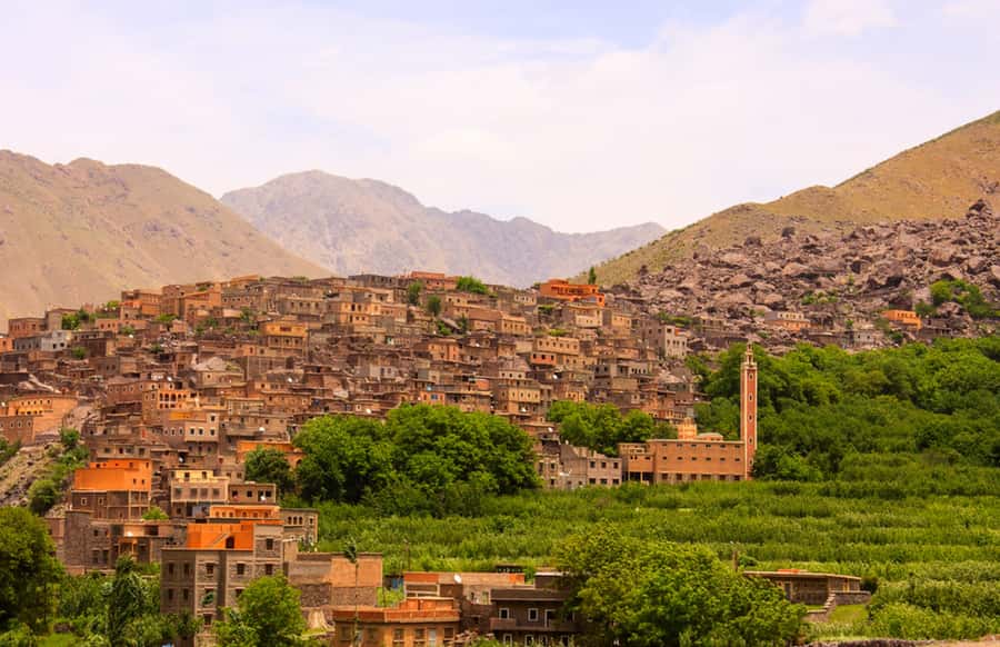 Marrakech: Atlas Mountains, Agafay Desert, Waterfall & Lunch - Lala Takerkoust camel ride: the “easy adventure” highlight