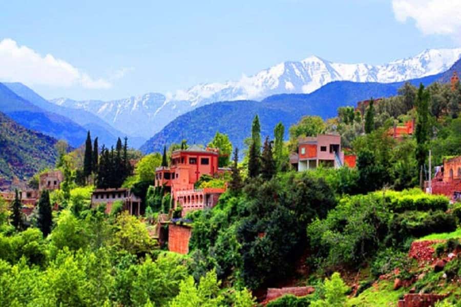 Marrakech: Atlas Mountains and 4 Valleys Tour with Lunch - Key Highlights Worth Getting Excited About