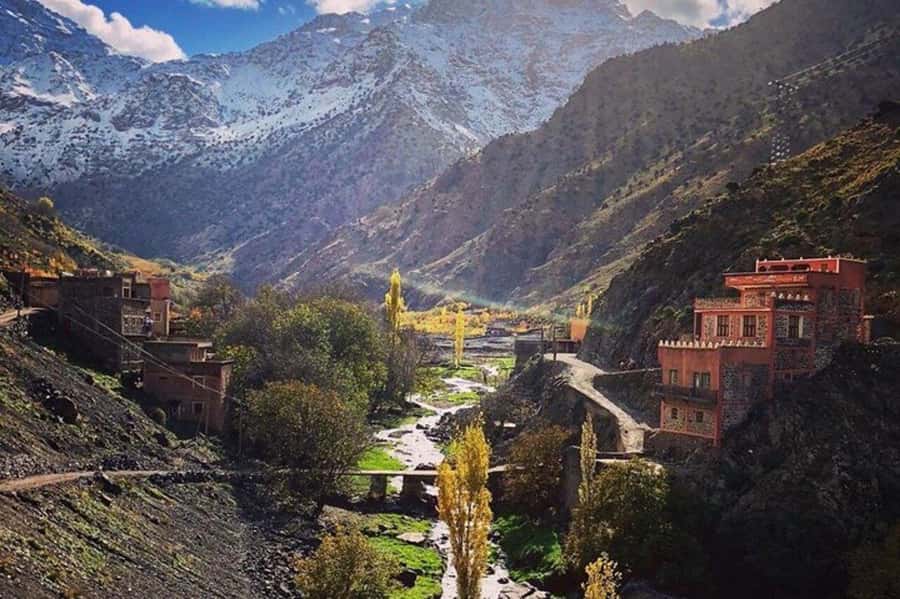 Marrakech: Atlas Mountains and 4 Valleys Tour with Lunch - Ait Souka Lunch in a Local Home (What You Can Expect)