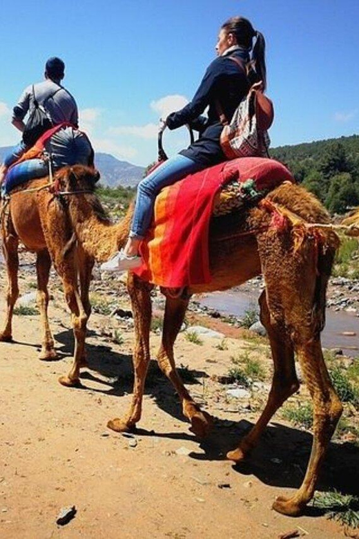 Marrakech: Atlas Mountains and 4 Valleys Tour with Lunch - Ait Mizan and the Kik Plateau View Stops