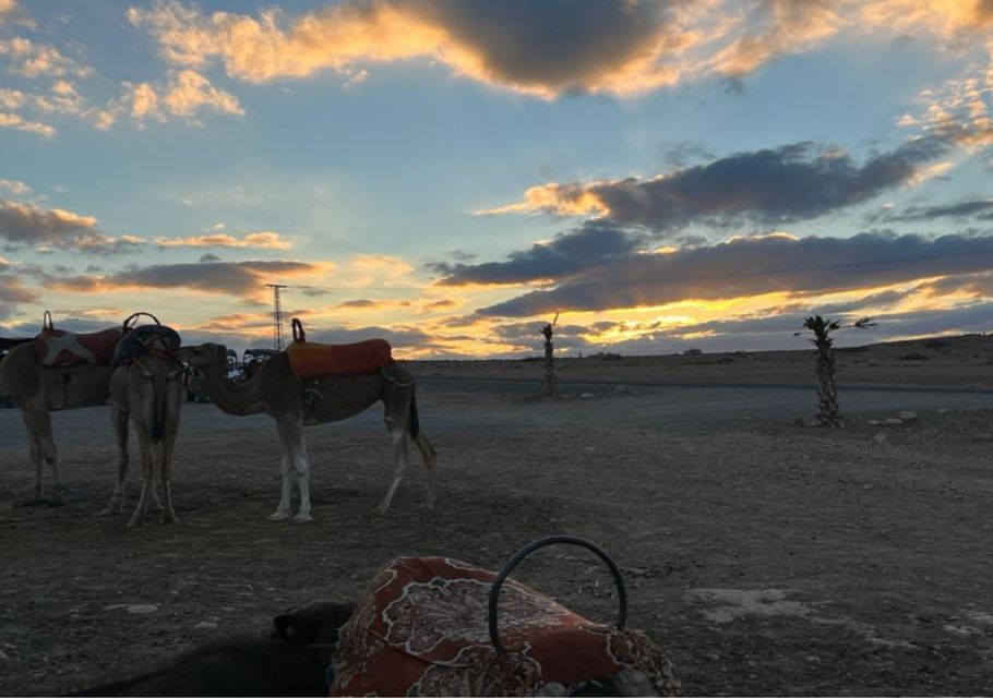 Marrakech: Atlas Mountains and Agafay Desert Trip with Lunch - The Kik Plateau and High Atlas viewpoints: getting the 360 feeling