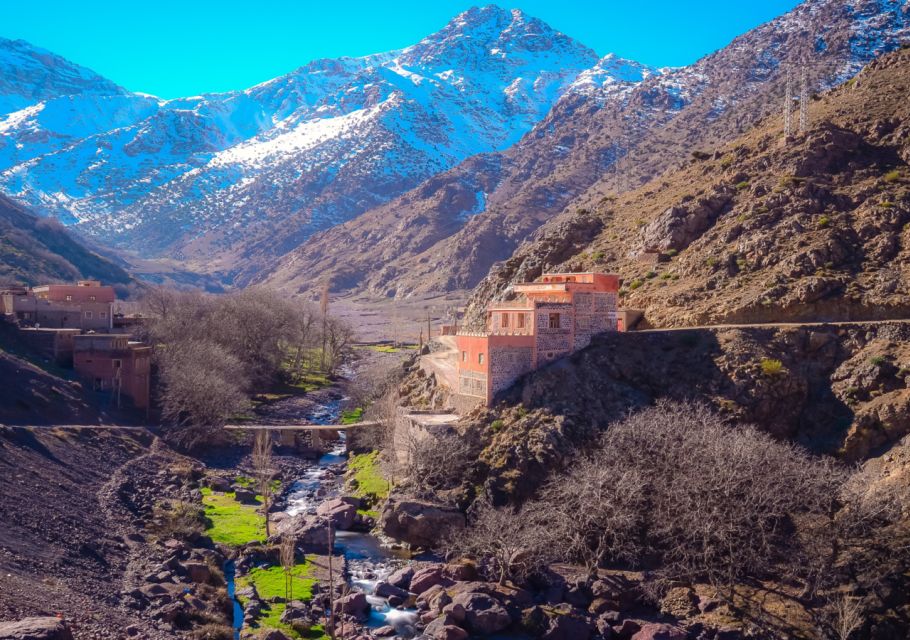 Marrakech: Atlas Mountains and Agafay Desert Trip with Lunch - Camel and traditional photo time: fun, quick, and very Morocco