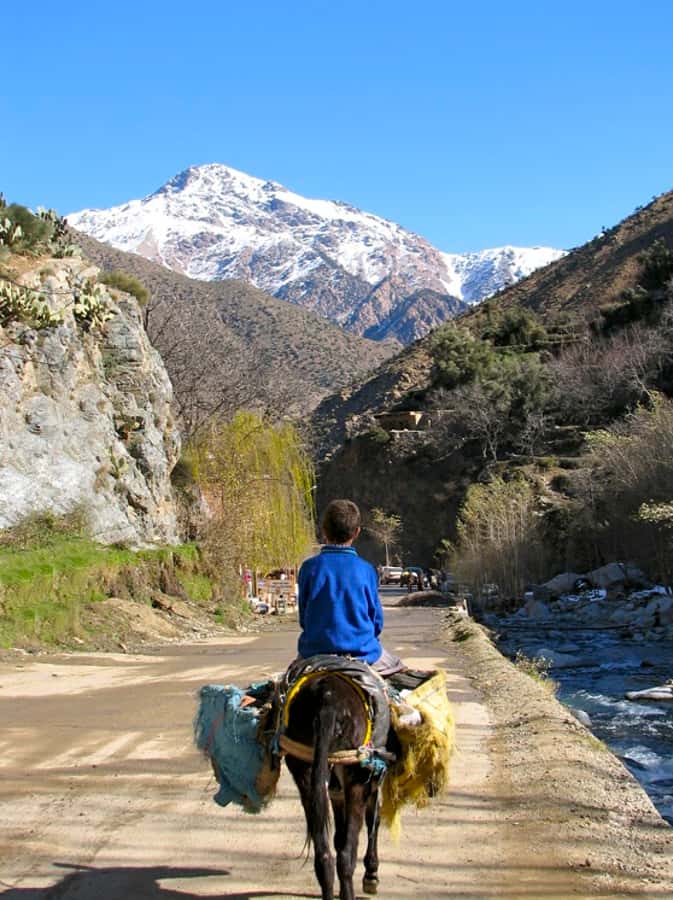 Marrakech: Atlas Mountains and Desert Safari with Lunch - Lunch near Imlil: tagine with locals, not a tourist buffet