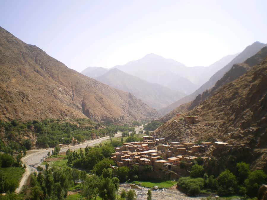 Marrakech: Atlas Mountains and Desert Safari with Lunch - Drive back through the Haouz plains: wind-down views for your last hour