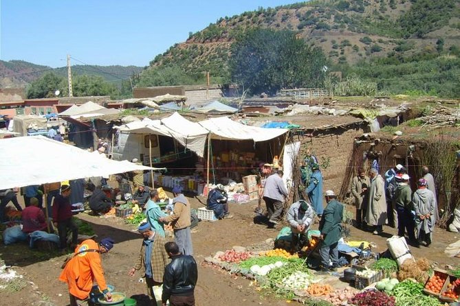 Marrakech: Atlas Mountains, Berber Villages, Agafay & Camel Ride - Tamatert family meal and mint tea: the part people remember