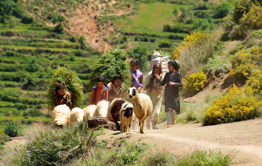 Marrakech Atlas Mountains, Berber Villages & Waterfall Tour - Getting Out of Marrakech: The Drive to Lala Takerkoust and Mountain Views