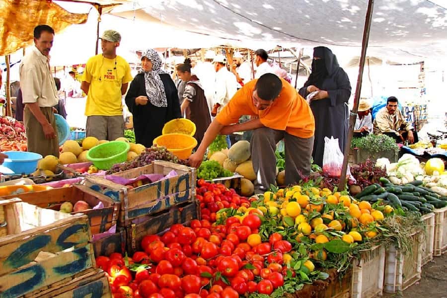 Marrakech: Atlas Mountains, Camel Ride, Waterfalls, & Lunch - Price and value: what $19 covers in a real-world Atlas day