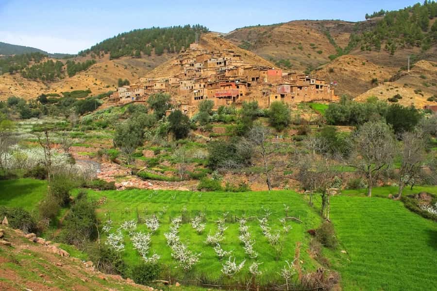 Marrakech: Atlas Mountains Day Trip, 3 Valleys & Waterfalls - The Argan Oil Cooperative: What You Learn Beyond the Bottle