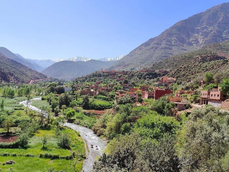 Marrakech: Atlas Mountains, Ourika Valley, Guide & Lunch - Ourika Valley Choice: Waterfalls Hike or River Stroll
