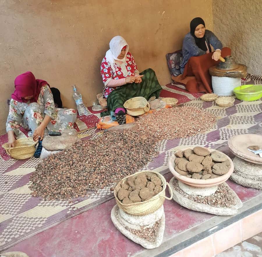 Marrakech: Atlas Mountains, Ourika Valley, Waterfall & Guide - A 7-hour Ourika Valley escape from Marrakech that feels real