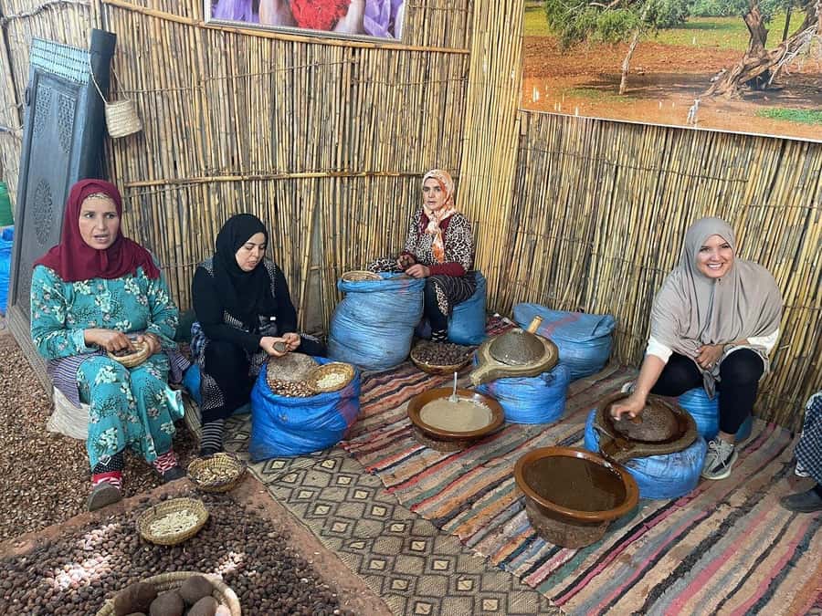 Marrakech: Atlas Mountains, Ourika Valley, Waterfall & Guide - Lunch in Ourika Valley: good food, real setting, variable service