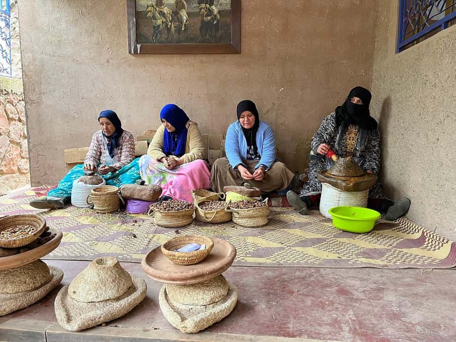 Marrakech: Atlas Mountains, Ourika Valley, Waterfall & Guide - Guide + driver teamwork: the difference between a good and a great day