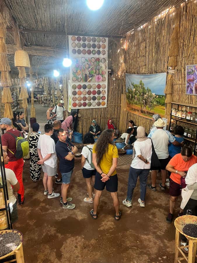 Marrakech: Atlas Mountains, Ourika Valley, Waterfall + Lunch - The Atlas Mountains Stop: Tea, Tasting, and Market Browsing