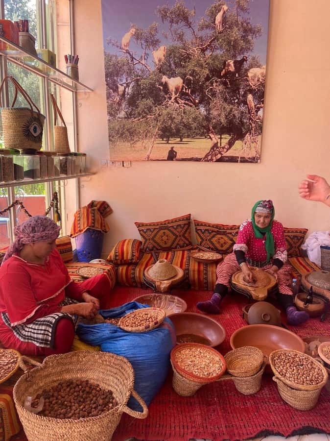 Marrakech: Atlas Mountains, Ourika Valley with Guide & Lunch - Who should book this, and who should rethink it