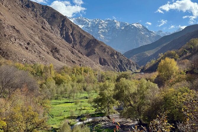 Marrakech: Atlas Mountains & Valleys Waterfall Hike & Lunch - Price, Value, and What Your $18.84 Actually Buys