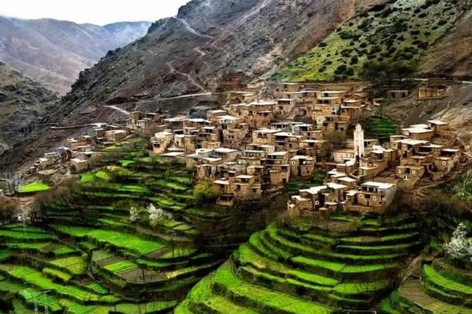 Marrakech: Atlas Mountains & Villages, Waterfalls, Camel Ride - High Atlas Camel Ride and Argan Oil at the Berber Cooperative