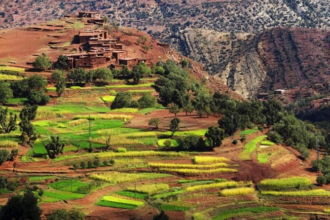 Marrakech: Atlas Mountains & Villages, Waterfalls, Camel Ride - Berber Home Lunch With Mt. Toubkal Views