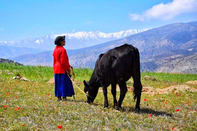 Marrakech: Atlas Mountains & Villages, Waterfalls, Camel Ride - Getting There: Private Vehicle, Pickup Timing, and Group Size