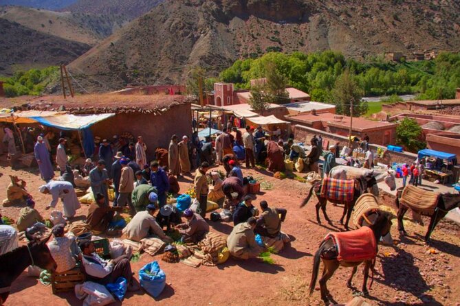 Marrakech: Atlas Mountains & Villages, Waterfalls, Camel Ride - Price Value Check for $17.45 and What’s Included