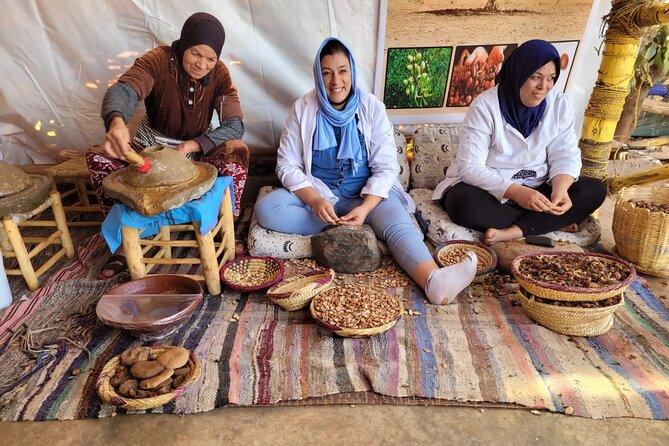 Marrakech: Atlas Mountains, Villages, Waterfalls Tour with Lunch - Group size, comfort, and who this tour fits best