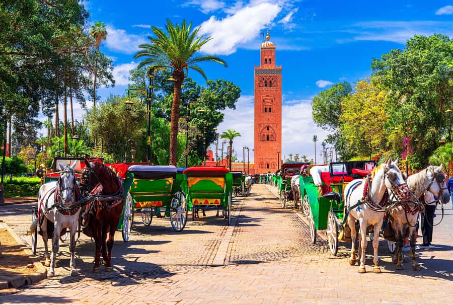 Marrakech: Bahia Palace, Madrasa Ben Youssef & Secret Garden - Meeting at Café ARGANA: Getting Your Bearings Fast