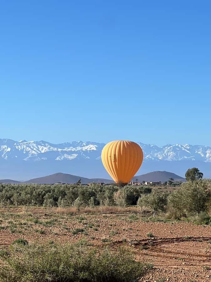 Marrakech: Balloon Flight, Berber Breakfast & Certificate - Who Should Book This (and Who Should Skip It)