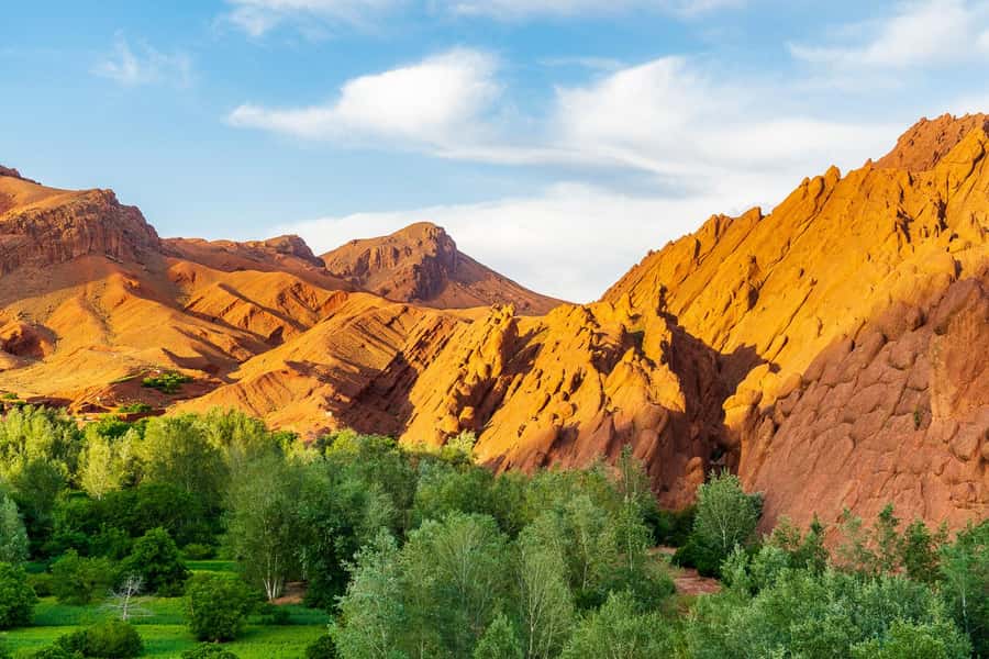 Marrakech: Berber Culture Experience & Atlas Mountains Tour - Price and what $88 really buys you
