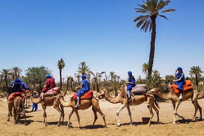 Marrakech Best Day Trip from Casablanca - Jardin Majorelle and Gueliz: pairing iconic color with a modern reset