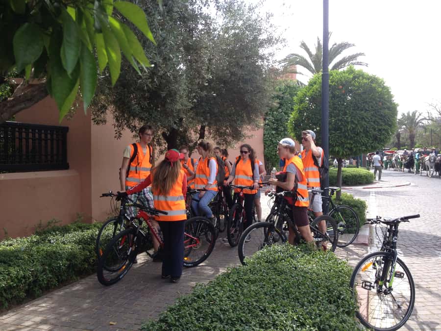 Marrakech: Bicycle Tour with a Local Guide - Jewish Quarter alleyways and Medina traffic strategy