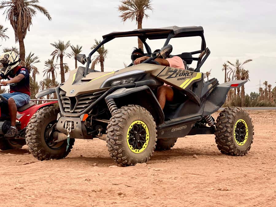 Marrakech: Buggy Adventure & Horse Riding in the Palm Grove - The One-Hour Guided Horse Ride: Calm, Scenic, Beginner-Friendly