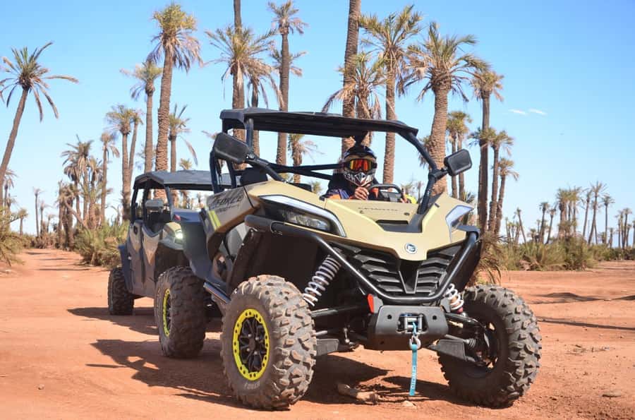 Marrakech: Buggy Adventure & Horse Riding in the Palm Grove - Who This Marrakesh Activity Fits Best (and Who Might Skip It)