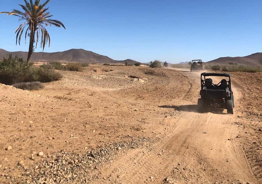 Marrakech: Buggy Experience at Palmeraie with Hotel Pickup - Hotel Pickup and Air-Conditioned Comfort: Why It Starts Easy