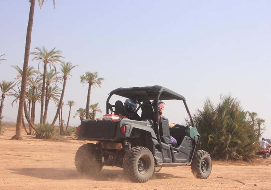 Marrakech: Buggy Experience at Palmeraie with Hotel Pickup - Safety Briefing and Buggy Driving: What You’ll Do on the Ground