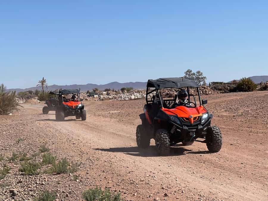 Marrakech Buggy Palmerie and Desert - Key things that make this buggy trip work