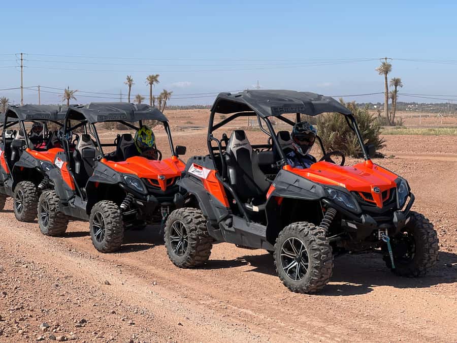 Marrakech Buggy Palmerie and Desert - Palmeraie photo stop and mint tea break: the pause that makes it feel real